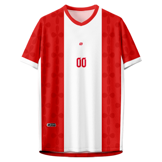 UNIFORME DE FÚTBOL DINAM (68)